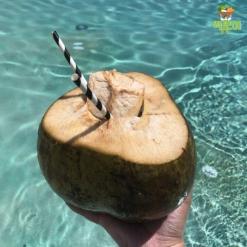 (무료배송) 청량감이 대단한 베트남산 코코넛